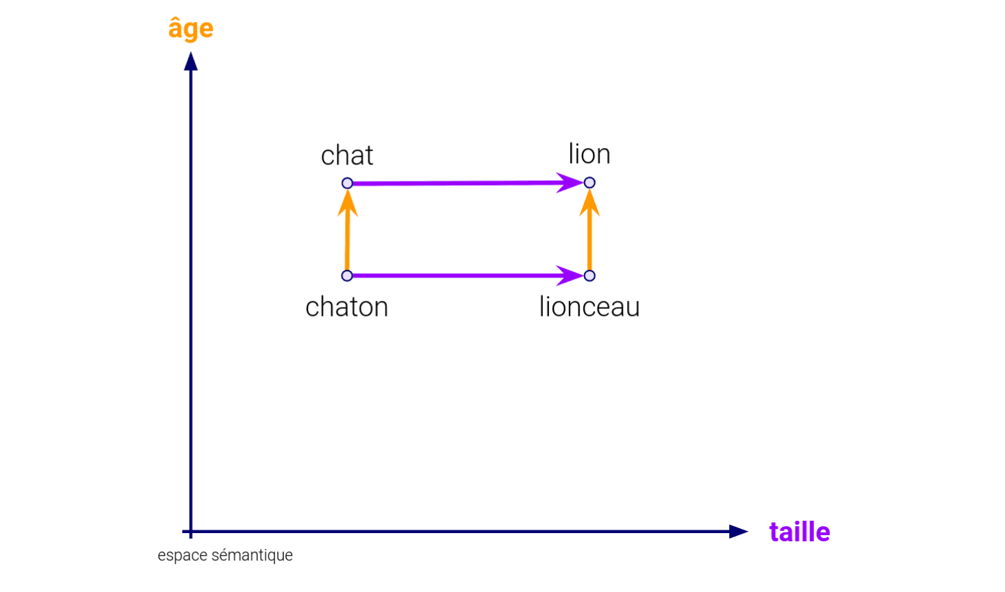 IA Générative - L’embedding et ses dimensions Dans cet espace sémantique à deux dimensions, "âge" et "taille" révèlent les liens entre les mots : Chaton est à Chat ce que Lionceau est à Lion.