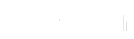 Flutter white logo